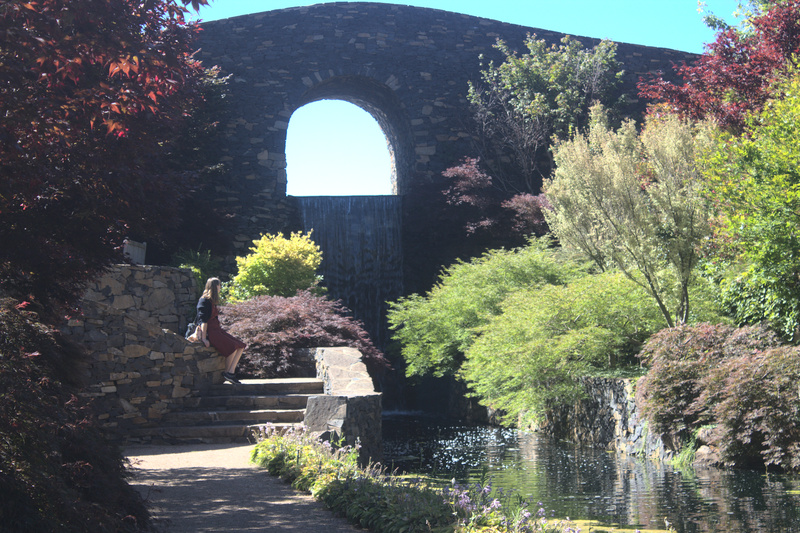 Bridge in the garden